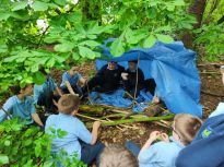 Teamwork in the Woodland