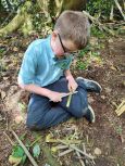Wood Whittling