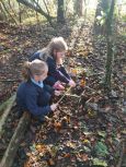 Home Sweet Home - Forest Style