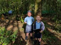 Tree survey