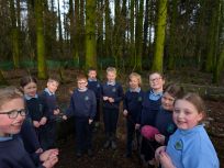 Food Chains in the Forest